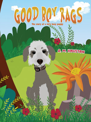 cover image of Good Boy Rags